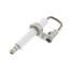 Ignitor/Sensor Assembly, 392431