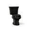 Wellworth Two-Piece Round-Front Toilet, Dual-Flush (Black), K-3987-7