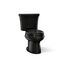 Wellworth Two-Piece Elongated Toilet, Dual-Flush (Black), K-3988-7