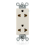 Decora Plus Duplex Receptacle, Straight Blade and Europlug, 15A 125/250V 2P, 3W (Light Almond)