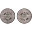 Organic Vapor Facepiece Filter (Pack of 2), 7000127451