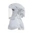 PAPR & SAR Hood, Small & Medium, 7000127431