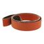 Series 777F, Abrasive Belt, 7010363450