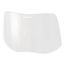 Speedglas 9100 Outside Protection Plate, 06-0200-52, Scratch Resistant, Clear (10 Pack), 7100145631