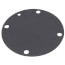 Diaphragm, 400101