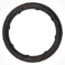 3/4" Leak Detect EPDM O-Ring