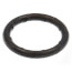 3/4" Leak Detect EPDM O-Ring