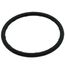 2" Leak Detect EPDM O-Ring