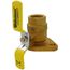 1" Threaded Isolator Flange