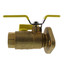 1" Threaded Isolator Flange with Drain
