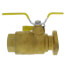 1-1/2" Threaded Isolator Flange with Drain