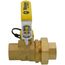 3/4" Threaded Pro-Pal Union Full Port Ball Valve w/ Hose Drain