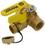 3/4" Threaded Pro-Pal Union Full Port Ball Valve w/ Hose Drain