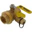 1-1/4" Threaded Pro-Pal Union Full Port Ball Valve w/ Hose Drain