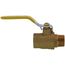1" MIP x FIP Full Port Forged Brass Ball Valve (Lead Free)