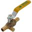 1/2" PEX Full Port Ball Valve w/ Drain (Lead Free)