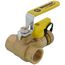 3/4" Pro-Pal Full Port Forged Brass Ball Valve w/ Hi-Flow Hose Drain & Reversible Handle