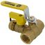 3/4" Pro-Pal Full Port Forged Brass Ball Valve w/ Hi-Flow Hose Drain & Reversible Handle (Lead Free)