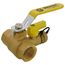 1" Pro-Pal Full Port Forged Brass Ball Valve w/ Hi-Flow Hose Drain & Reversible Handle