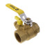 1-1/2" Threaded Pro-Pal Full Port Ball Valve w/ Hose Drain - Lead Free