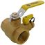 1-1/2" Threaded Pro-Pal Full Port Ball Valve w/ Hose Drain