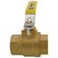1-1/2" Threaded Pro-Pal Full Port Ball Valve w/ Hose Drain
