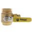 2" Threaded Pro-Pal Full Port Ball Valve w/ Hose Drain