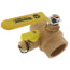 2" Threaded Pro-Pal Full Port Ball Valve w/ Hose Drain (Lead Free)