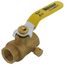 1/2" Threaded Full Port Forged Brass Ball Valve w/ Bleeder (Lead Free)