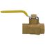 1/2" Threaded Full Port Forged Brass Ball Valve w/ Bleeder (Lead Free)
