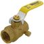 3/4" Threaded Full Port Forged Brass Ball Valve w/ Bleeder (Lead Free)