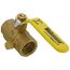 3/4" Threaded Full Port Forged Brass Ball Valve w/ Bleeder (Lead Free)