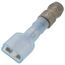 Rajah Adapter for S8600 Family, 4074EPM