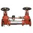6" 757DCDA Double Check Detector Assembly with OSY Shutoff Valves and Gallons/Minute Meter (757DCDA-OSY-GPM)