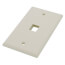 Single-Gang QuickPort Wallplate, 1-Port (Light Almond)