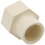 1/2" CTS CPVC Female Adapter w/ Gasket (Socket x NPSC)