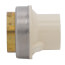 3/4" CTS CPVC Female Adapter w/ Gasket (Socket x Brass FPT)