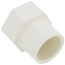 3/4" CTS CPVC Female Adapter w/ Gasket (Socket x NPSC)