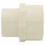 1" CTS CPVC Female Adapter w/ Gasket (Socket x NPSC)