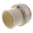 1-1/2" CTS CPVC Female Adapter w/ Gasket (Socket x Brass FPT)