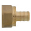 1/2" PEX x 1/2" NPT Brass Female Adapter (Lead Free)