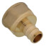 1/2" PEX x 1/2" NPT Brass Female Adapter (Lead Free)
