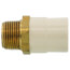 3/4" CTS CPVC Male Adapter (Brass MIPT x Socket)