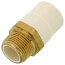 3/4" CTS CPVC Male Adapter (Brass MIPT x Socket)