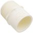 1" CTS CPVC Male Adapter (MIPT x Socket)