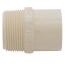 1-1/4" CTS CPVC Male Adapter (MIPT x Socket)