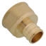3/4" PEX x 3/4" NPT Brass Female Adapter (Lead Free)