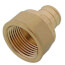 3/4" PEX x 3/4" NPT Brass Female Adapter (Lead Free)