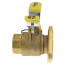 1" Threaded Isolator Flange w/ Drain & Rotating Flange - Lead Free