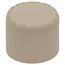 1/2" CTS CPVC Cap (Socket)